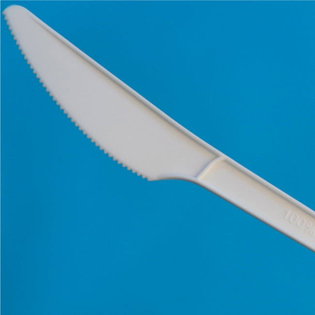 Plastic Cutlery
