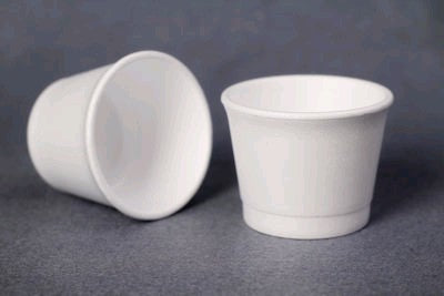 Fomo Cups